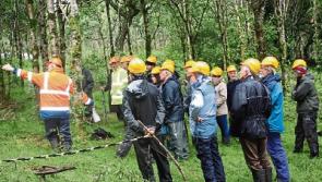 Teagasc host farm walk in County Limerick as part of nationwide series