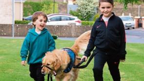 Four-legged friend has had massive impact on life of Limerick family