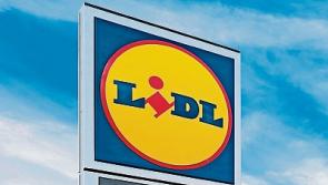 Lidl seeks to build new store on outskirts of Limerick city