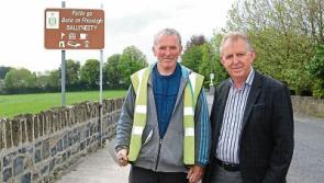 Limerick village's 'Great Wall' is&nbsp;up for an award
