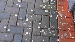 What we think: Fags and gum still a litter headache here in Limerick