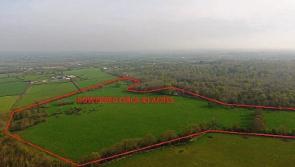 County Limerick farm across the road from previous record sale is now up for auction
