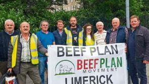 Limerick farmers to the fore at Beef Plan&rsquo;s &lsquo;rural revolt&rsquo; in Dublin