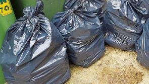 Limerick woman who entered apartment complex to dump her rubbish is fined 