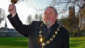 I'd have made ten times more working in Burger King, says ex-Limerick mayor of retirement gratuity