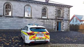 Limerick men fined over 'non-essential' journeys during Covid-19 lockdown