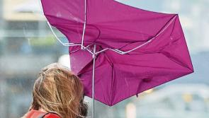 Met Eireann issues wind alert on top of rain warning for Limerick