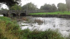 Wild About Wildlife: Celebrating Waters Heritage Day