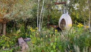 Gardening with Jo: Taking the ordinary and making it extraordinary