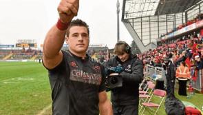 Stander gets the call from Ireland