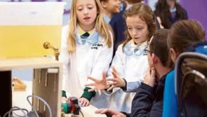 Limerick pupils showcase discoveries at science fair