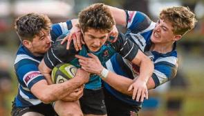 Limerick schools do battle for Senior Cup final spot