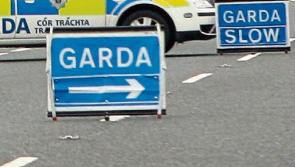 Funeral details announced for Limerick crash victim