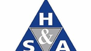 Man dies while cutting hedges in County Limerick