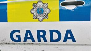 Four charged over&nbsp;brawl at Limerick hotel granted bail