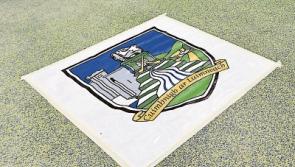 Limerick GAA fixtures May 5-11