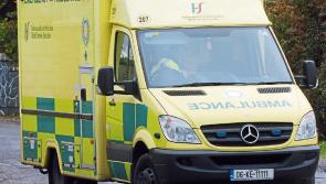 Woman recovering in hospital following vicious attack by two dogs in Dublin