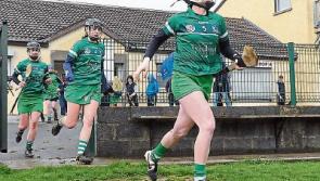 Limerick go for first Munster camogie title