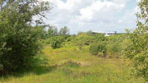 Bord Pleanala refuses plans for 110 houses in Limerick