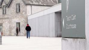 Limerick man verbally abused twins' mother