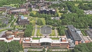 UL tops league for women in senior academic posts