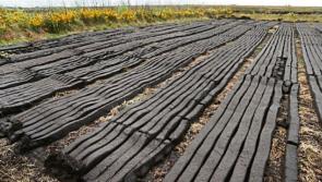 Workable system needed to phase out peat, says Irish horticulture group