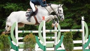 Limerick showjumper wins $100,000 Grand Prix