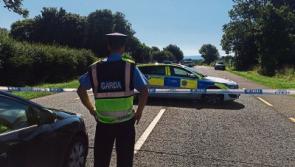 Gardai confirm link between Limerick crash and assault