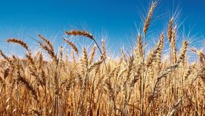 Irish agri-food companies encouraged to develop new markets in Africa