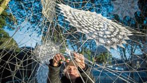 Artist weaves a web of lace at Limerick's Merchant's Quay