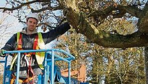 Milford Hospice memory tree finds new homes overseas