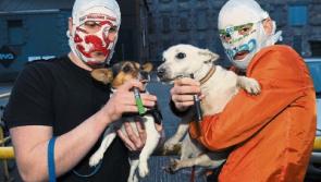 Limerick's Rubberbandits bring anarchic game show to MTV
