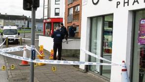 Man injured in Limerick assault dies