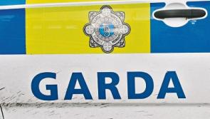 Shots fired at house in Limerick estate