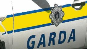 Gardai&nbsp;appeal for witnesses following Limerick fatal road crash