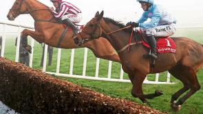 THE PUNTER'S EYE: Horse racing tips to brighten up the weekend