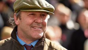 Limerick trainer Bolger scores Cheltenham win