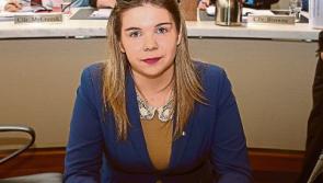 Library plan is brought to book by Limerick councillors