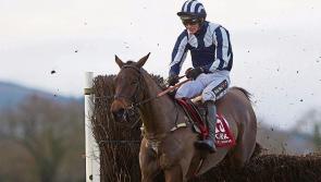 The Punter's Eye: Galway Races Day 4 Tips - Thursday 