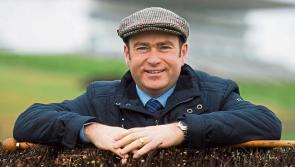 Under starter's orders for Limerick Christmas Racing Festival