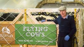 Limerick ICMSA calls on farmers to protest at lab