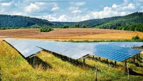 Limerick council gives green light to solar farm