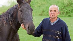 BREAKING: Irish Grand National Champ to get hero's welcome in Kildare