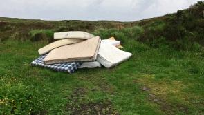 Mattress dumping at beauty spot on Limerick-Clare border condemned as 'despicable'