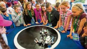 Robot Wars: Limerick schools battle it out in Analog competition