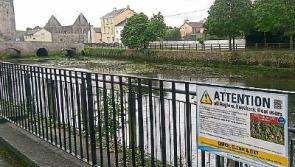 Crayfish plague confirmed as signs erected in Limerick