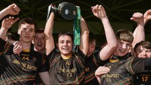 Harty Cup draw &ndash;&nbsp;Five Limerick schools involved