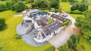 Pat Shortt's Castleconnell mansion reduced by &euro;450k, and half its &euro;2.7m boom price