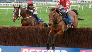 Cheltenham Gold Cup winner to line up in&nbsp;Listowel Festival feature