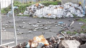 Legal bid fails to put a stop to littering in Limerick blackspot